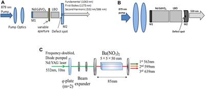 Recent Progress in Nonlinear Frequency Conversion of Optical Vortex Lasers